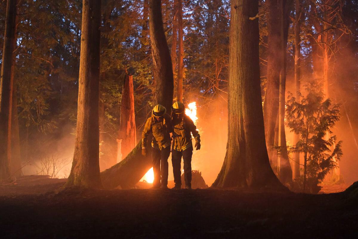 Rookie: Feds, Fire Country i inne - będą pełne sezony